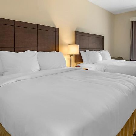 Comfort Inn & Suites Pittsburgh-Northshore Экстерьер фото